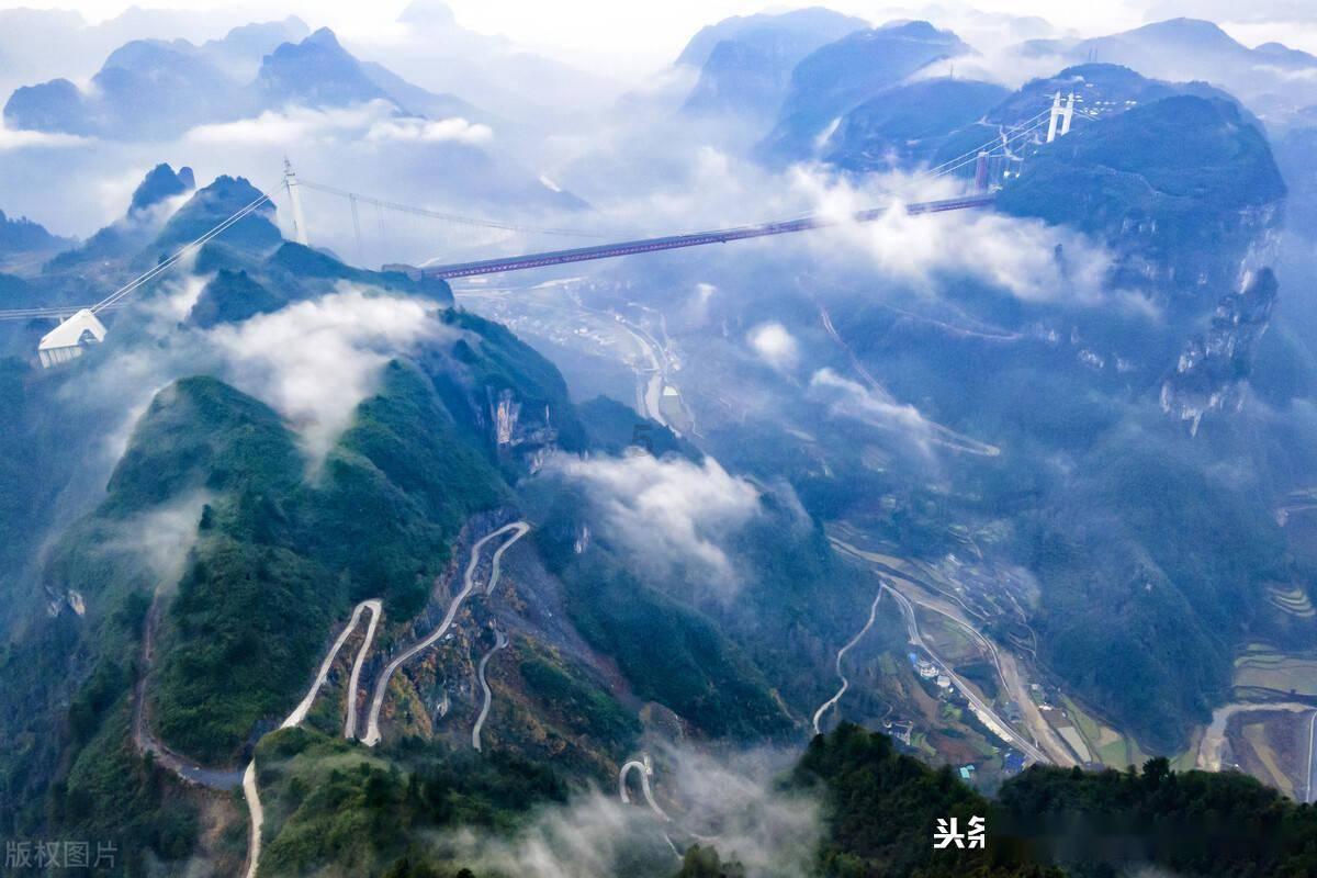 拯救精灵的土地8